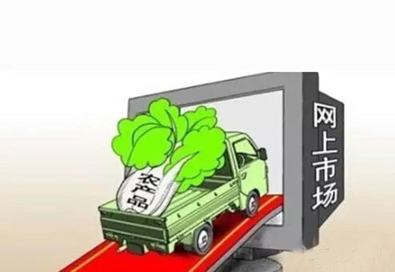 走进特色水果基地：自然的恩赐与匠心的雕琢